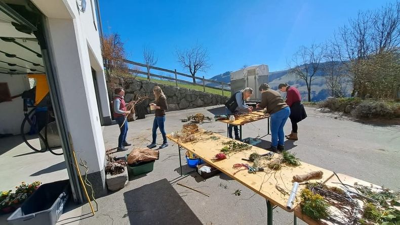 WhatsApp Bild 2025-05-05 um 20.49.16 aea5e92e.jpg