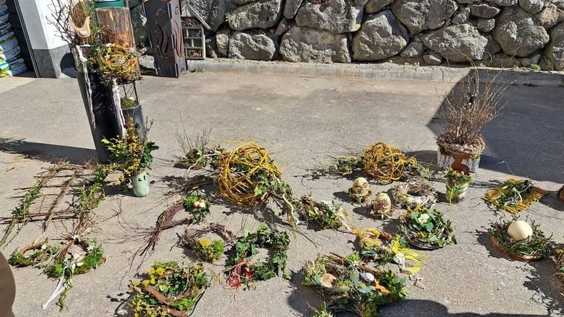 WhatsApp Bild 2025-05-05 um 20.49.30 c41020de.jpg