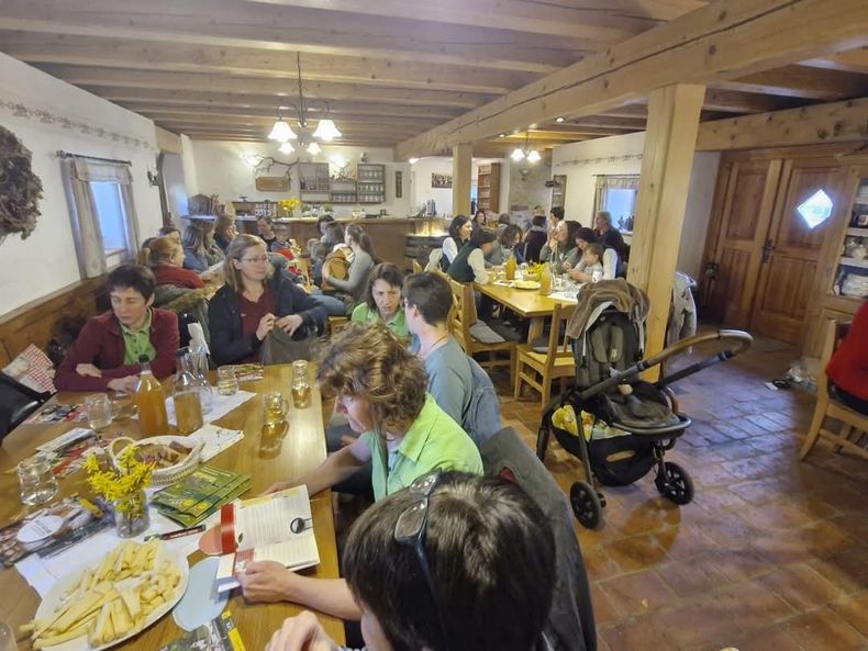 WhatsApp Bild 2025-05-05 um 20.58.29 036ad980.jpg