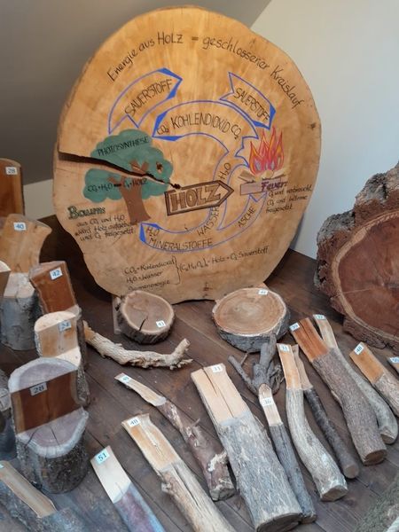 Excursion 2025 ©&nbsp;Die Bäuerinnen im Bezirk Neunkirchen