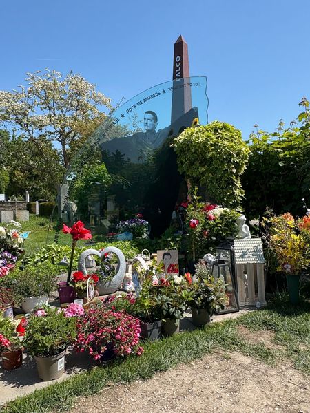 WhatsApp Image 2025-05-14 at 06.25.02(1).jpg WhatsApp Image 2025-05-14 at 06.25.02(1).jpg