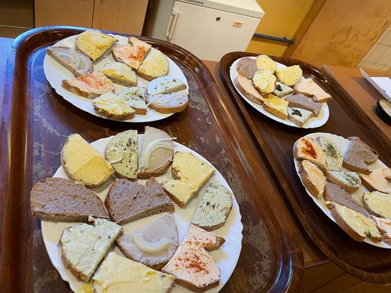 TdB Mistelbach2025.jpg