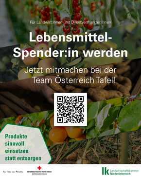 [1747376934145560.jpg]