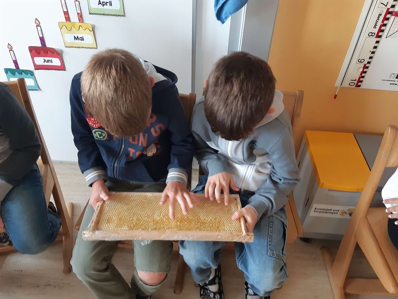 Schulaktionstage Gebiet Korneuburg.jpg