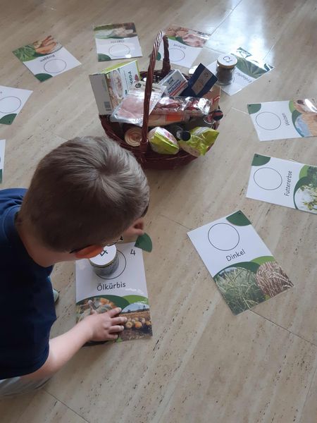 Schulaktionstage Gebiet Korneuburg.jpg