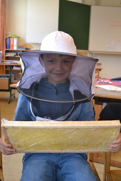 Schulaktionstage Gebiet Korneuburg.jpg