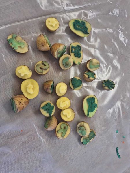 WhatsApp Bild 2025-05-13 um 19.32.40 0d0313cd.jpg