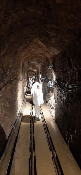 Exkursion Salzkammergut ©&nbsp;Die Bäuerinnen Gföhl