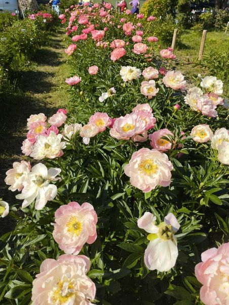 Exkursion Slazkammergut ©&nbsp;Die Bäuerinnen Gföhl