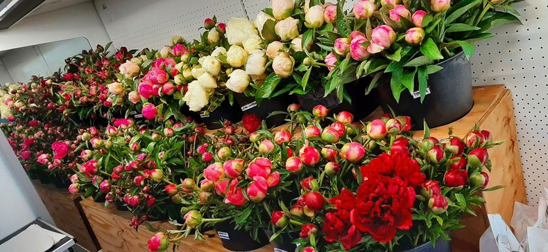 Exkursion Slazkammergut ©&nbsp;Die Bäuerinnen Gföhl