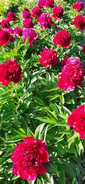 Exkursion Slazkammergut ©&nbsp;Die Bäuerinnen Gföhl