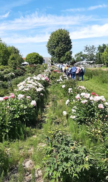 Exkursion Slazkammergut ©&nbsp;Die Bäuerinnen Gföhl