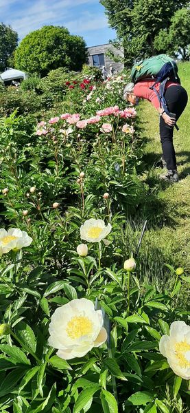 Exkursion Slazkammergut ©&nbsp;Die Bäuerinnen Gföhl