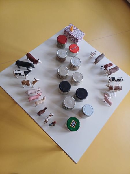 499943311 689579607107301 1814346729389188877 n.jpg