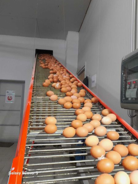 WhatsApp Bild 2025-06-05 um 22.39.11 a62c4d3c.jpg