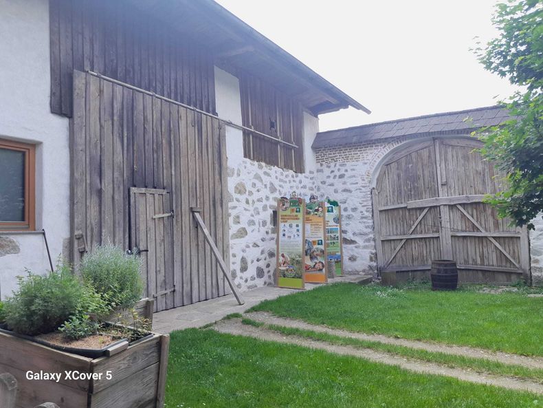 WhatsApp Bild 2025-06-05 um 22.39.15 2de6d844.jpg