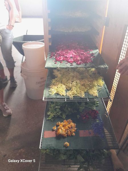 WhatsApp Bild 2025-06-05 um 22.39.18 03020d31.jpg