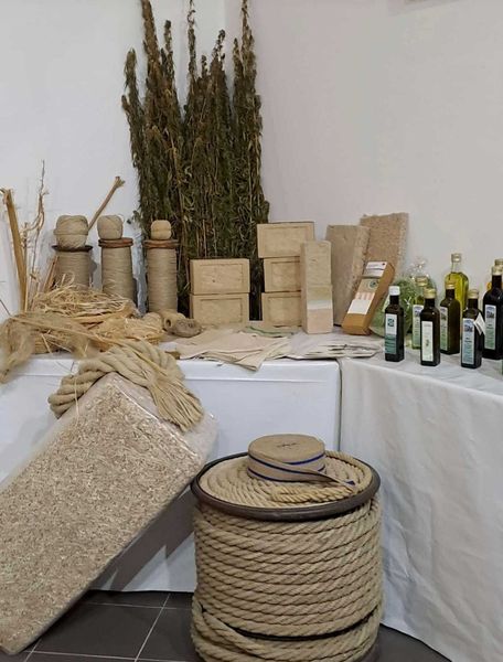 Hanfwelt Riegler-Nurscher.jpg Hanfwelt Riegler-Nurscher.jpg