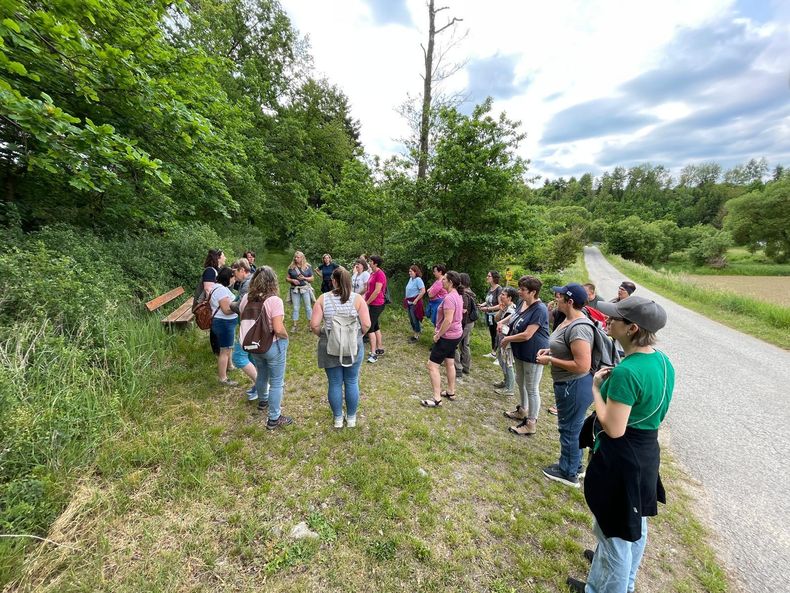 WhatsApp Image 2025-06-06 at 08.09.03(3).jpg WhatsApp Image 2025-06-06 at 08.09.03(3).jpg