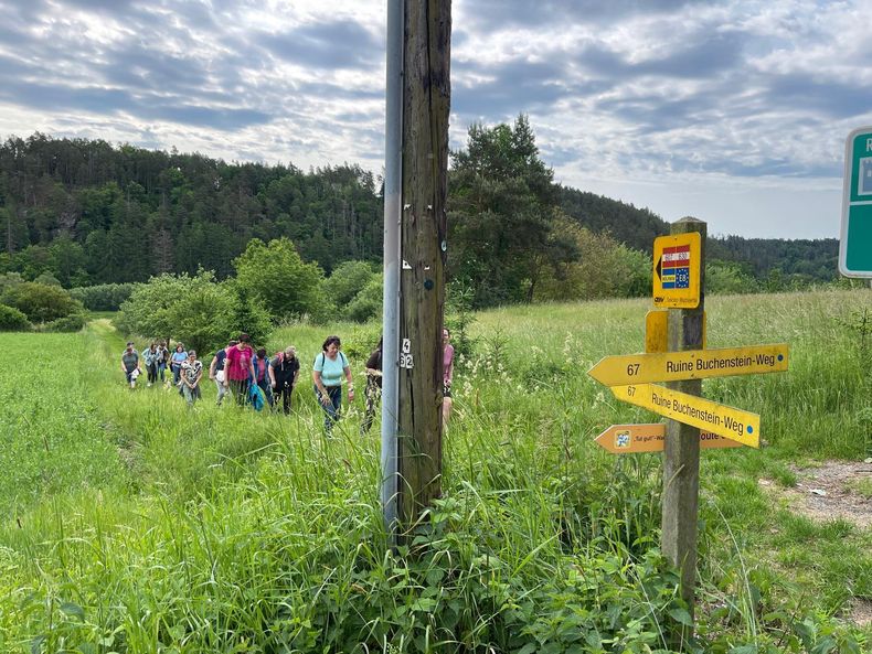 WhatsApp Image 2025-06-06 at 08.09.03(2).jpg WhatsApp Image 2025-06-06 at 08.09.03(2).jpg