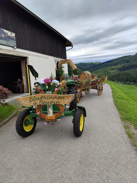 506053077 706701812061747 457049517991264622 n.jpg