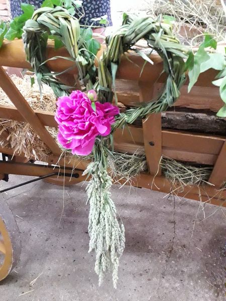 506308450 706701622061766 9052824642369569421 n.jpg