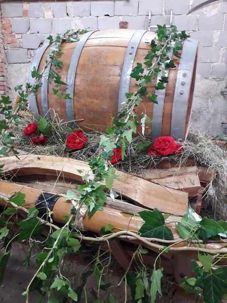 506497196 706701748728420 8926059997668547185 n.jpg