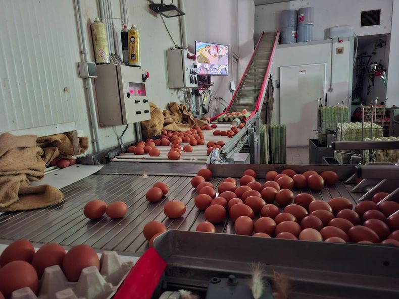 515505885 722567907141804 7267288251246984065 n.jpg