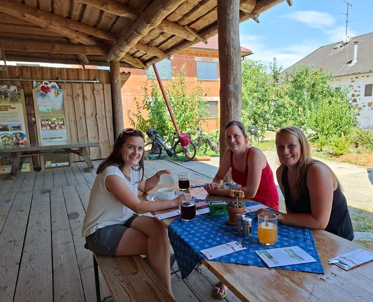 515509279 722568083808453 2206499707031946106 n.jpg