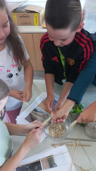 WhatsApp Image 2025-06-19 at 23.44.36.jpg