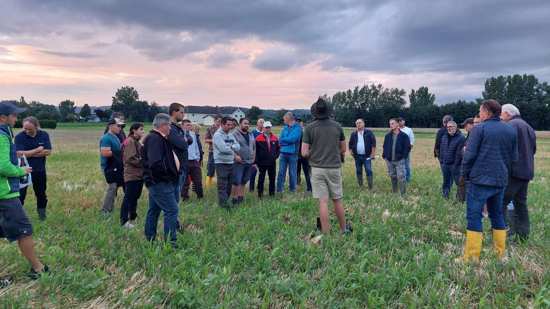Gemüsefeldbegehung in Pupping, 30. Juli 2025