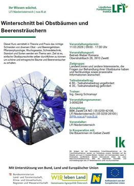 [1755596452729166.jpg]