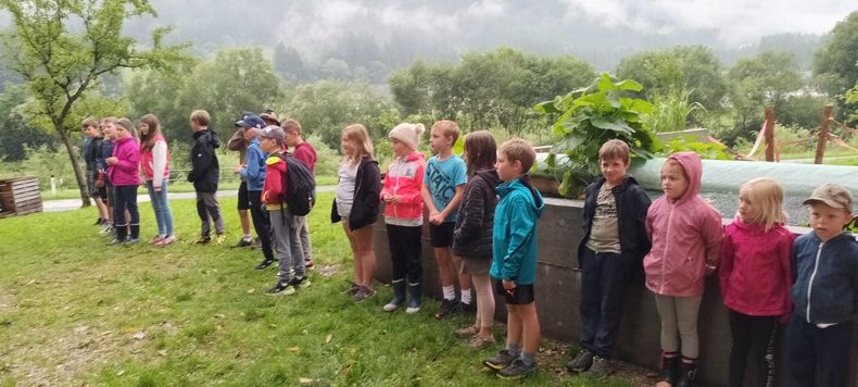 WhatsApp Bild 2025-08-20 um 20.36.39 4d19e424.jpg