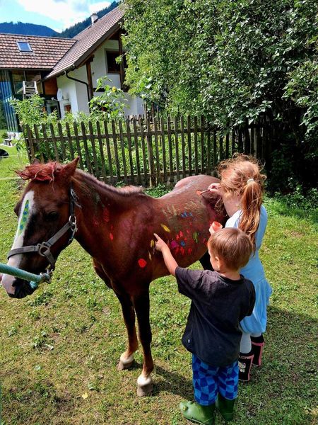 WhatsApp Bild 2025-08-20 um 20.36.40 bbc90ec1.jpg