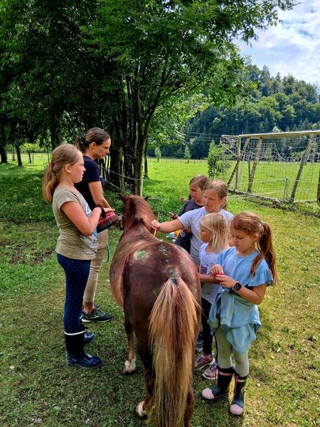 WhatsApp Bild 2025-08-20 um 20.36.41 e258fa11.jpg