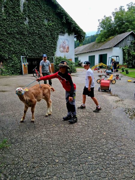 WhatsApp Bild 2025-08-20 um 20.36.42 9d43a9b3.jpg