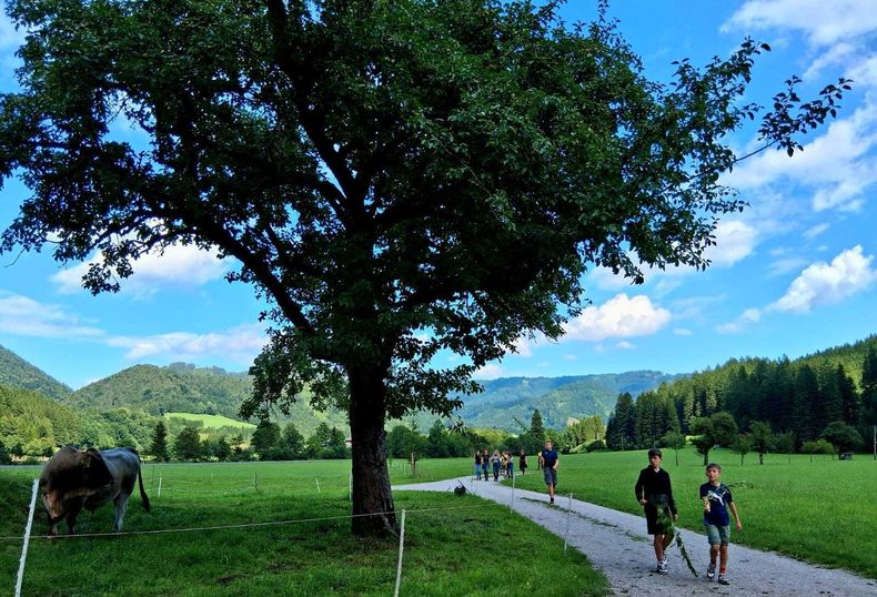 WhatsApp Bild 2025-08-20 um 20.36.43 80508c31.jpg