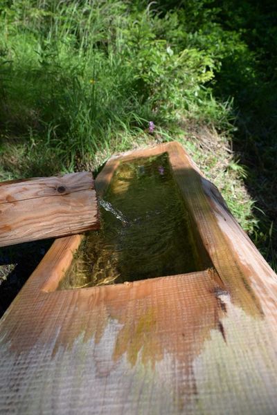 WhatsApp Bild 2025-08-20 um 20.16.51 0912d526.jpg