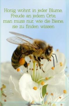 [175758151389122.jpg]