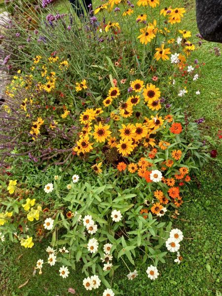 Wintergemüse10 2025 09 10 (c)Helga Leichtfried.jpg Wintergemüse10 2025 09 10 (c)Helga Leichtfried.jpg