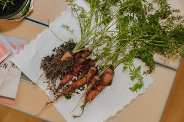 [1758291998062211.jpg]