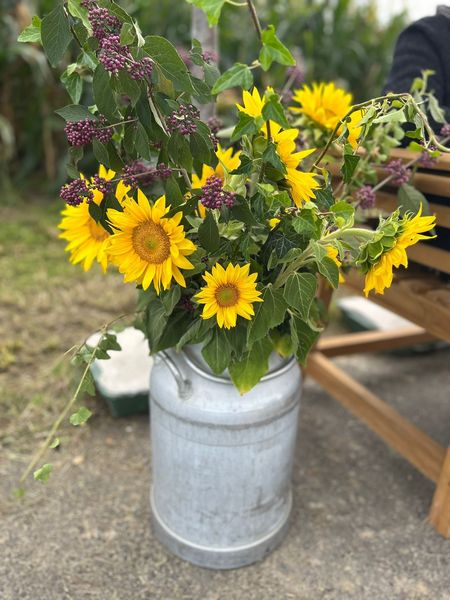 WhatsApp Bild 2025-09-14 um 19.34.26 949e997b.jpg