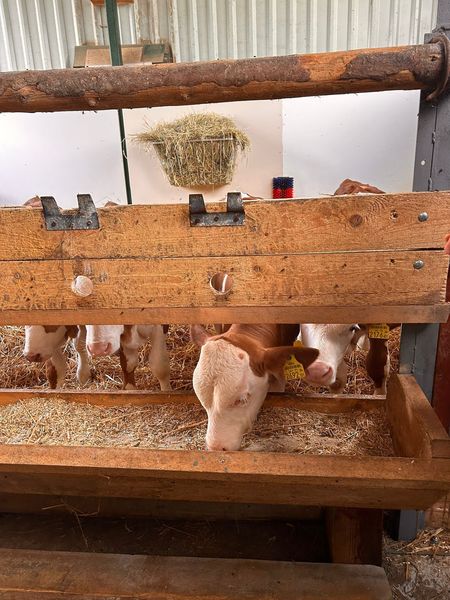 WhatsApp Bild 2025-09-14 um 19.34.26 c491476b.jpg