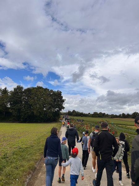 WhatsApp Bild 2025-09-14 um 19.35.20 969ae5dd.jpg