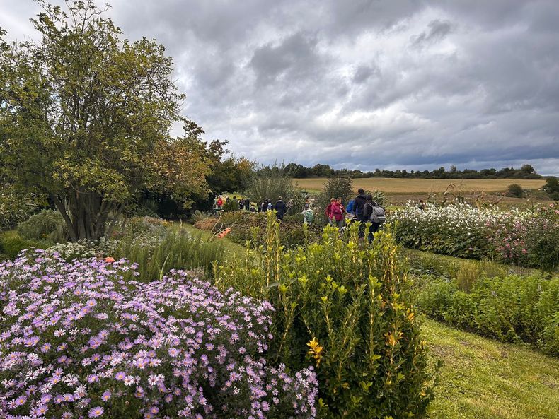 WhatsApp Bild 2025-09-14 um 19.35.29 0b39eafa.jpg