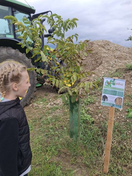 WhatsApp Bild 2025-09-15 um 16.16.11 438e9c39.jpg