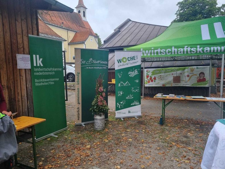 WhatsApp Image 2025-09-26 at 16.03.36.jpg