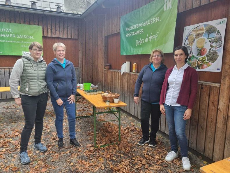 WhatsApp Image 2025-09-26 at 16.03.40.jpg