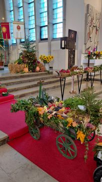 [175993535105469.jpg]