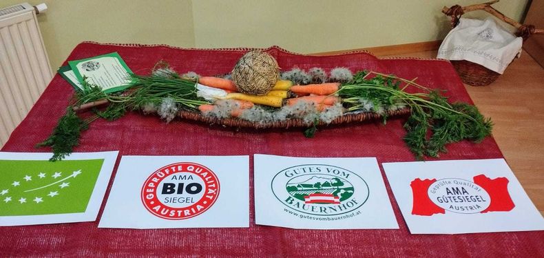 Schulaktionstag in Wartmannstetten ©&nbsp;Anette Glatzl